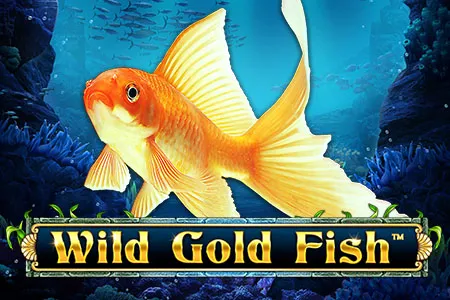 Wild Gold Fish